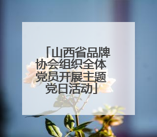 山西省品牌协会组织全体党员开展主题党日活动