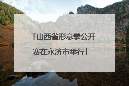 山西省形意拳公开赛在永济市举行