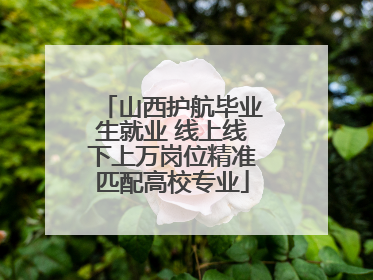 山西护航毕业生就业 线上线下上万岗位精准匹配高校专业