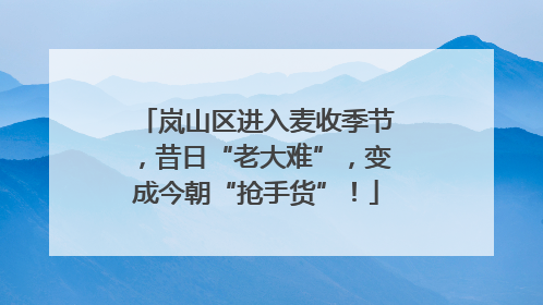岚山区进入麦收季节，昔日“老大难”，变成今朝“抢手货”！