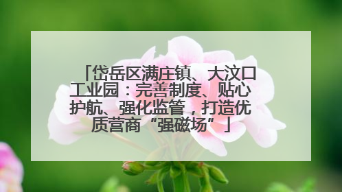 岱岳区满庄镇、大汶口工业园：完善制度、贴心护航、强化监管，打造优质营商“强磁场”