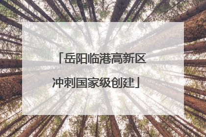 岳阳临港高新区冲刺国家级创建