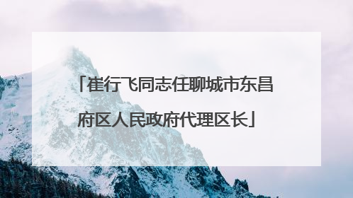 崔行飞同志任聊城市东昌府区人民政府代理区长
