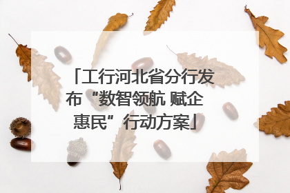 工行河北省分行发布“数智领航 赋企惠民”行动方案