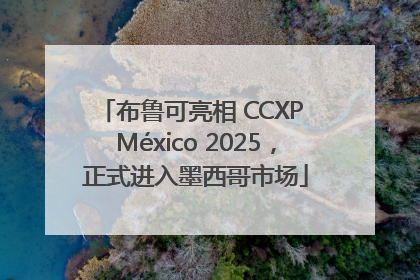 布鲁可亮相 CCXP México 2025，正式进入墨西哥市场