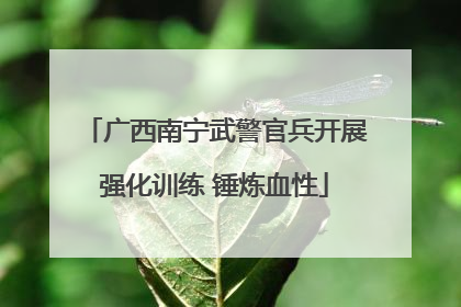 广西南宁武警官兵开展强化训练 锤炼血性