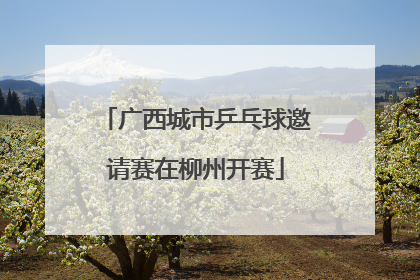 广西城市乒乓球邀请赛在柳州开赛