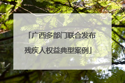 广西多部门联合发布残疾人权益典型案例
