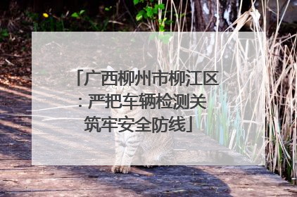 广西柳州市柳江区：严把车辆检测关 筑牢安全防线