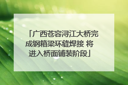 广西苍容浔江大桥完成钢箱梁环缝焊接 将进入桥面铺装阶段