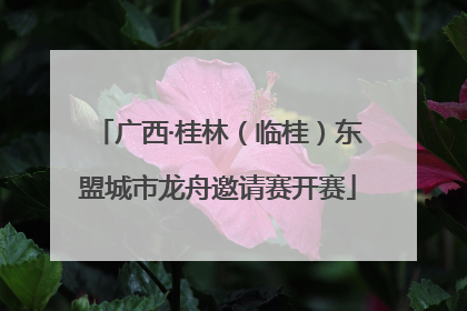 广西·桂林（临桂）东盟城市龙舟邀请赛开赛