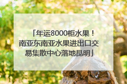 年运8000柜水果！南亚东南亚水果进出口交易集散中心落地昆明