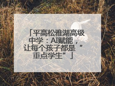 平高松雅湖高级中学:AI赋能,让每个孩子都是“重点学生”