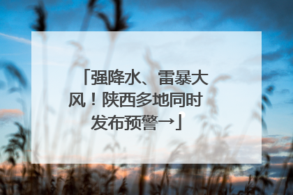 强降水、雷暴大风！陕西多地同时发布预警→