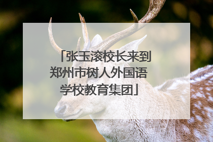张玉滚校长来到郑州市树人外国语学校教育集团