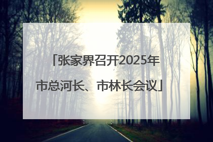张家界召开2025年市总河长、市林长会议