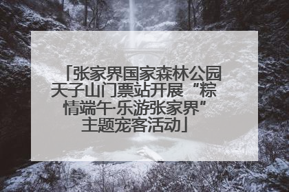 张家界国家森林公园天子山门票站开展“粽情端午·乐游张家界”主题宠客活动