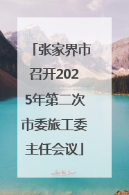 张家界市召开2025年第二次市委旅工委主任会议