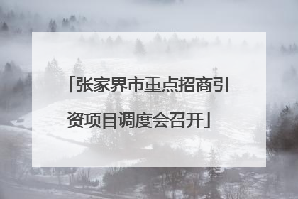 张家界市重点招商引资项目调度会召开