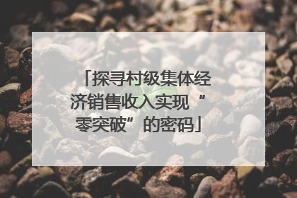 探寻村级集体经济销售收入实现“零突破”的密码