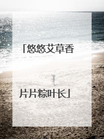 悠悠艾草香 片片粽叶长
