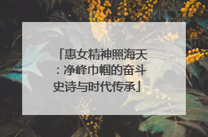 惠女精神照海天：净峰巾帼的奋斗史诗与时代传承