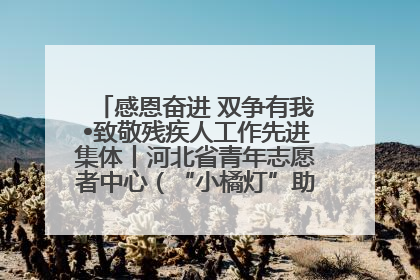 感恩奋进 双争有我•致敬残疾人工作先进集体丨河北省青年志愿者中心（“小橘灯”助残接力计划实施团队）：用温暖陪伴，守护特殊孩子成长