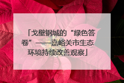 戈壁钢城的“绿色答卷”——嘉峪关市生态环境持续改善观察