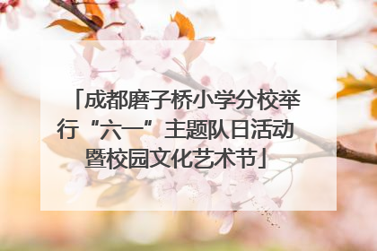 成都磨子桥小学分校举行“六一”主题队日活动暨校园文化艺术节