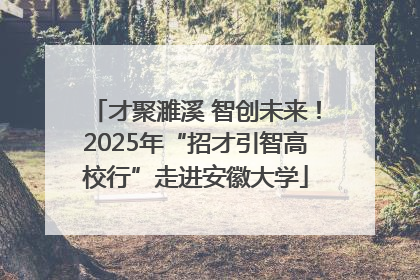 才聚濉溪 智创未来！2025年“招才引智高校行”走进安徽大学