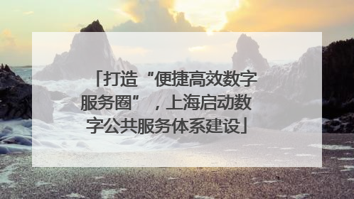 打造“便捷高效数字服务圈”，上海启动数字公共服务体系建设