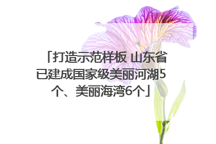 打造示范样板 山东省已建成国家级美丽河湖5个、美丽海湾6个