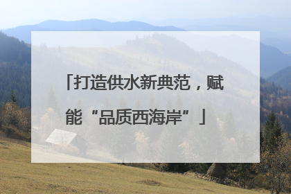 打造供水新典范，赋能“品质西海岸”