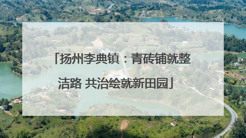 扬州李典镇：青砖铺就整洁路 共治绘就新田园