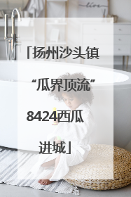 扬州沙头镇“瓜界顶流”8424西瓜进城