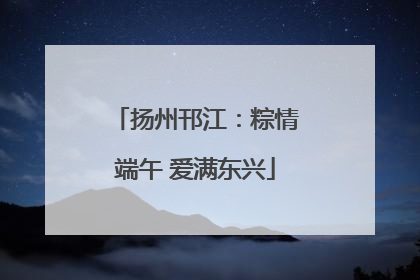 扬州邗江：粽情端午 爱满东兴