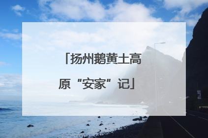 扬州鹅黄土高原“安家”记