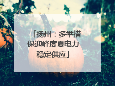 扬州：多举措保迎峰度夏电力稳定供应