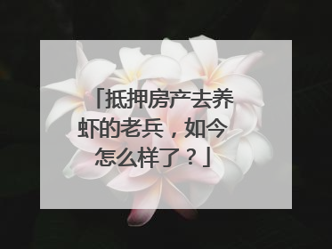 抵押房产去养虾的老兵，如今怎么样了？