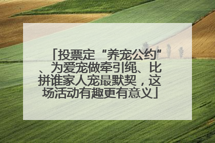 投票定“养宠公约”、为爱宠做牵引绳、比拼谁家人宠最默契，这场活动有趣更有意义