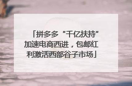 拼多多“千亿扶持”加速电商西进，包邮红利激活西部谷子市场