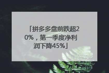 拼多多盘前跌超20%，第一季度净利润下降45%