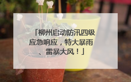 柳州启动防汛四级应急响应，特大暴雨、雷暴大风！
