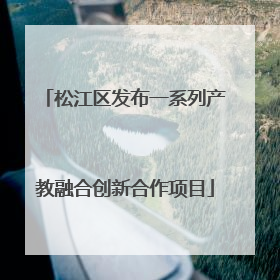 松江区发布一系列产教融合创新合作项目