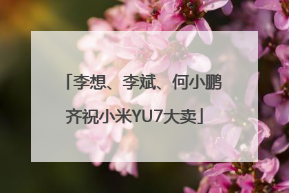 李想、李斌、何小鹏齐祝小米YU7大卖