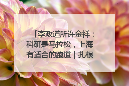 李政道所许金祥：科研是马拉松，上海有适合的跑道｜扎根上海，从0到1