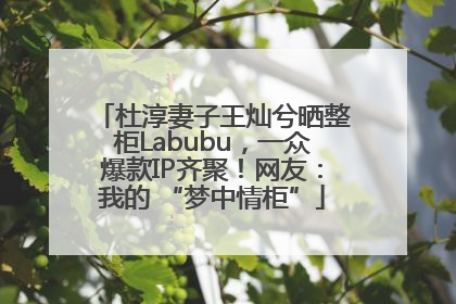 杜淳妻子王灿兮晒整柜Labubu，一众爆款IP齐聚！网友：我的 “梦中情柜”