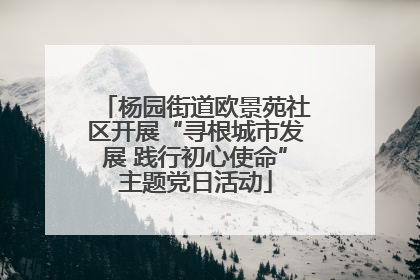 杨园街道欧景苑社区开展“寻根城市发展 践行初心使命”主题党日活动