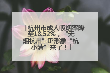 杭州市成人吸烟率降至18.52%，“无烟杭州”IP形象“杭小清”来了！