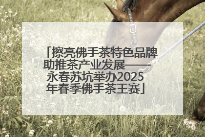 擦亮佛手茶特色品牌 助推茶产业发展——永春苏坑举办2025年春季佛手茶王赛